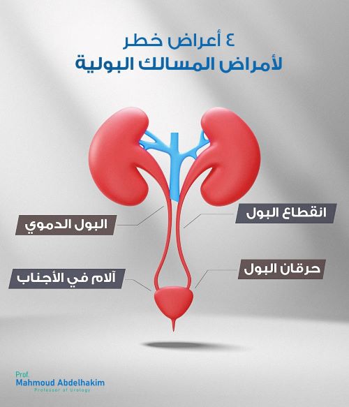 اعراض التهاب المسالك البولية عند النساء